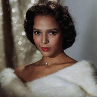 Dorothy Dandridge wallpaper