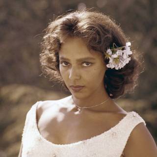 Dorothy Dandridge wallpaper