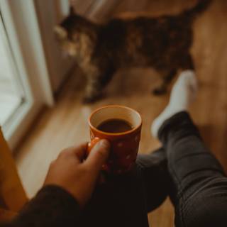 Coffee cat wallpaper