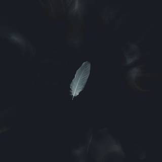 White on black wallpaper