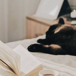 Coffee cat wallpaper