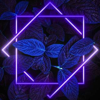 Neon iPhone 11 wallpaper