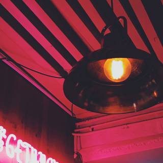 Neon iPhone 11 wallpaper