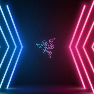 Neon iPhone 11 wallpaper