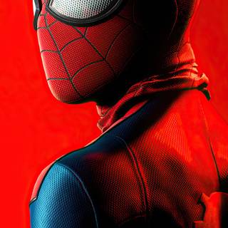 Spider-Man phone wallpaper