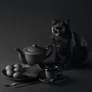 Coffee cat wallpaper