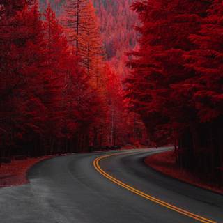 Aesthetic lanscape wallpaper