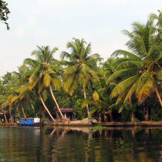 Travel India wallpaper