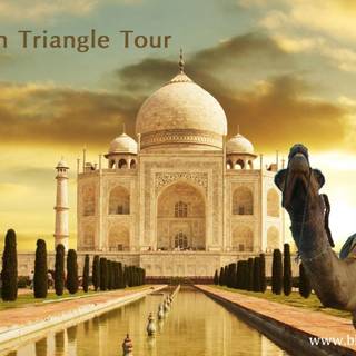 Travel India wallpaper