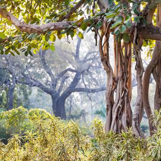 Travel India wallpaper