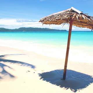 Umbrella summer wallpaper