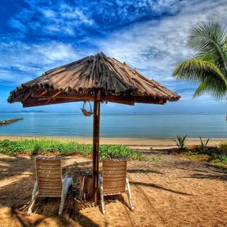 Umbrella summer wallpaper