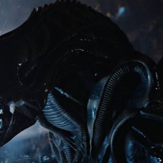 Aliens 1986 wallpaper