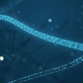 Biomedicine wallpaper