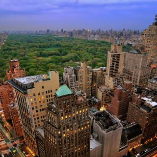 Central Park wallpaper