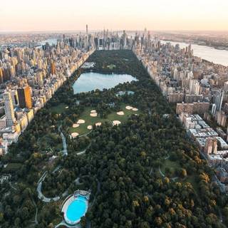 Central Park iPhone wallpaper