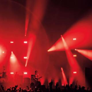 Fontaines D.C. wallpaper