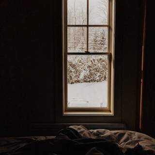 Window room wallpaper