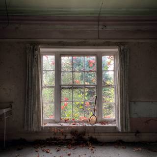 Window room wallpaper