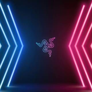 Simple neon wallpaper