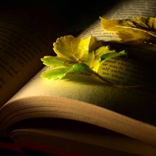 Dark books wallpaper