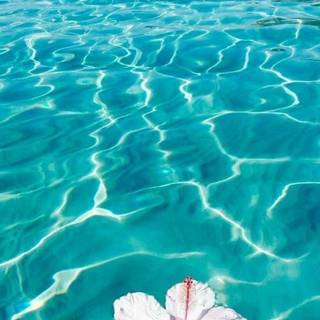 Aesthetic ocean iPad wallpaper