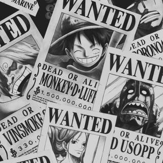 Robin wanted wallpaper