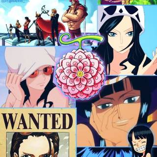 Robin wanted wallpaper