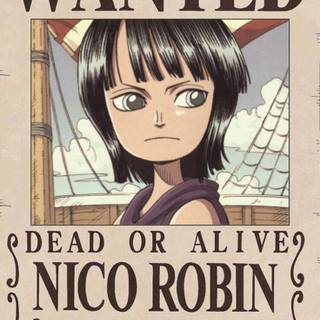 Robin wanted wallpaper