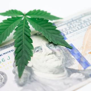 Weed and money wallpaper