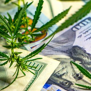Weed and money wallpaper
