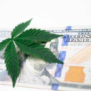 Weed and money wallpaper