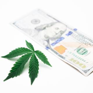 Weed and money wallpaper