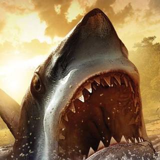 Big sharks wallpaper