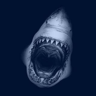 Big sharks wallpaper