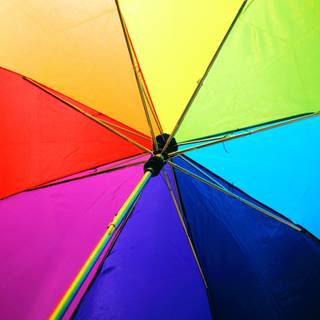 Multiple colours wallpaper