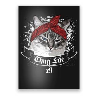 Thug cat wallpaper