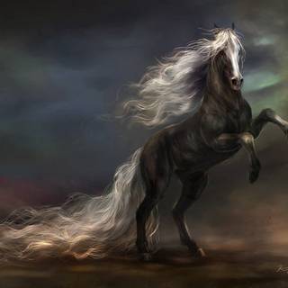 Grey horses wallpaper