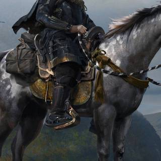 Grey horses wallpaper