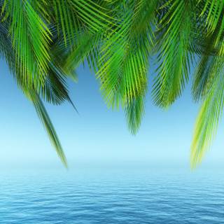 Plant trees wallpaper