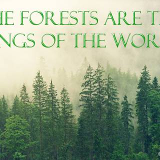 Environmental science wallpaper