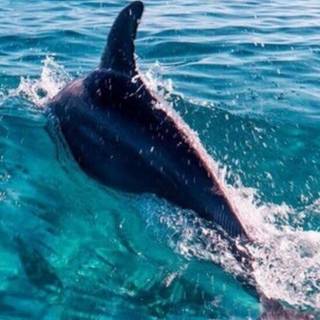 Blue aesthetic summer wallpaper