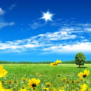 Full screen spring wallpaper