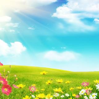 Full screen spring wallpaper