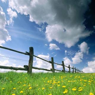 Country summer landscape wallpaper