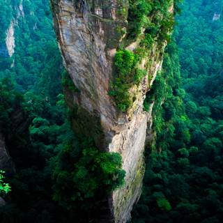 Summer National Park wallpaper