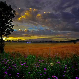 Country summer landscape wallpaper