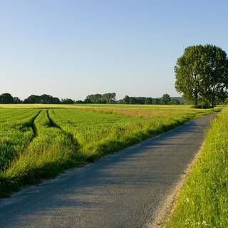 Country summer landscape wallpaper