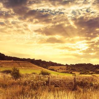 Country summer landscape wallpaper