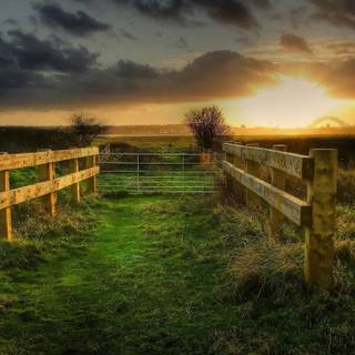 Country summer landscape wallpaper